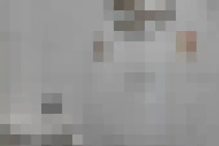 Torrestraat 11 Kronenberg thumbnail 24