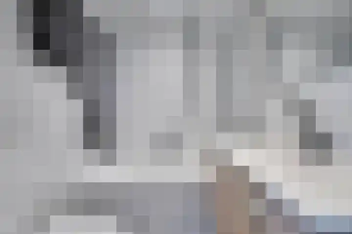 Torrestraat 11 Kronenberg thumbnail 25