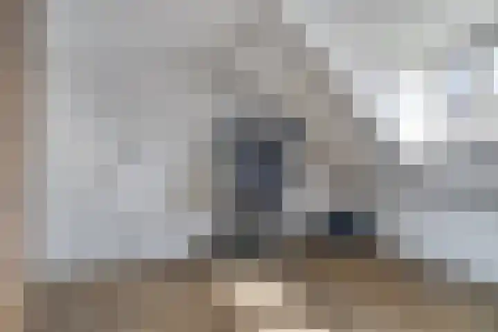 Torrestraat 11 Kronenberg thumbnail 30