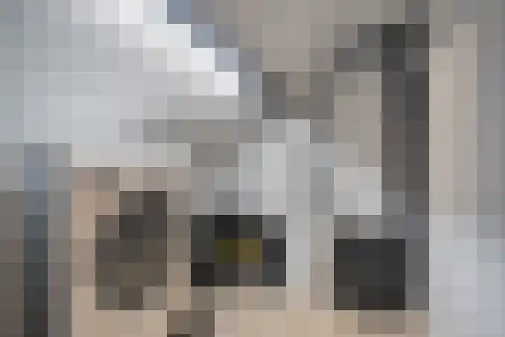 Torrestraat 11 Kronenberg thumbnail 32