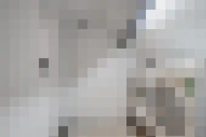 Torrestraat 11 Kronenberg thumbnail 33