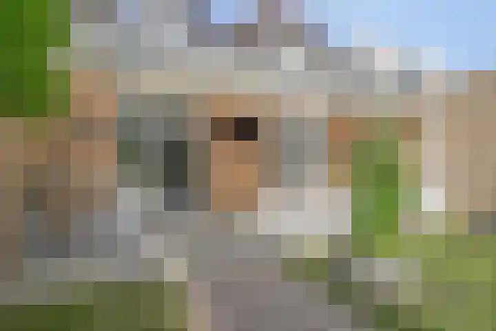 Torrestraat 11 Kronenberg thumbnail 35
