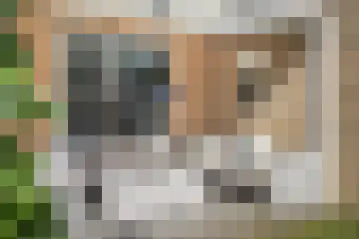 Torrestraat 11 Kronenberg thumbnail 36
