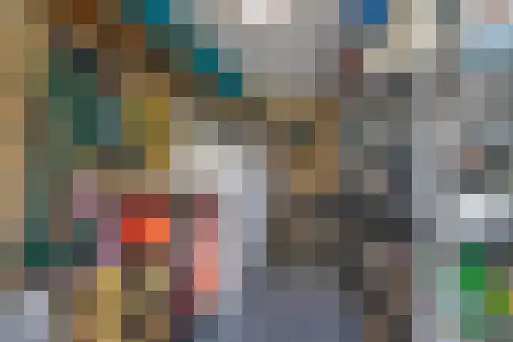Torrestraat 11 Kronenberg thumbnail 38