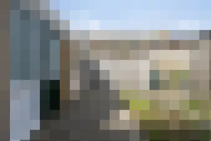 Torrestraat 11 Kronenberg thumbnail 39