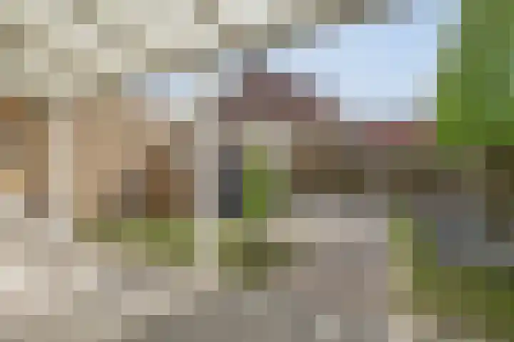 Torrestraat 11 Kronenberg thumbnail 6