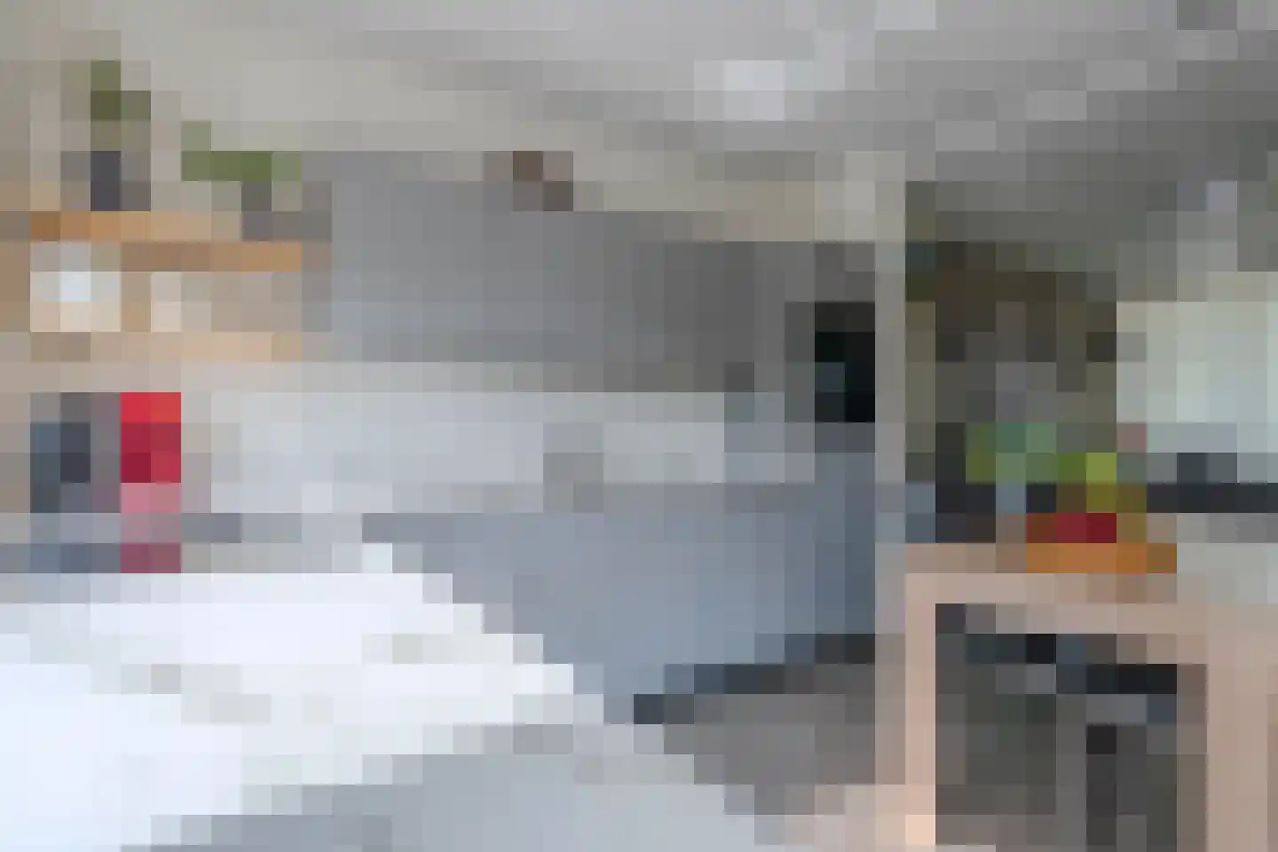 Torrestraat 17 Kronenberg thumbnail 13