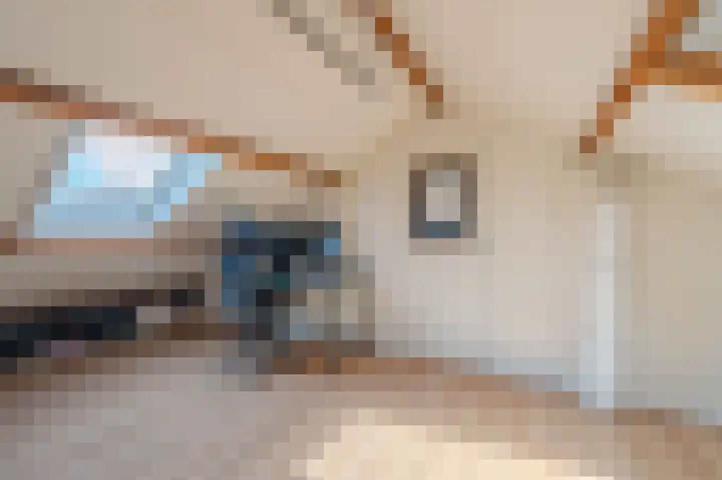 Torrestraat 17 Kronenberg thumbnail 22