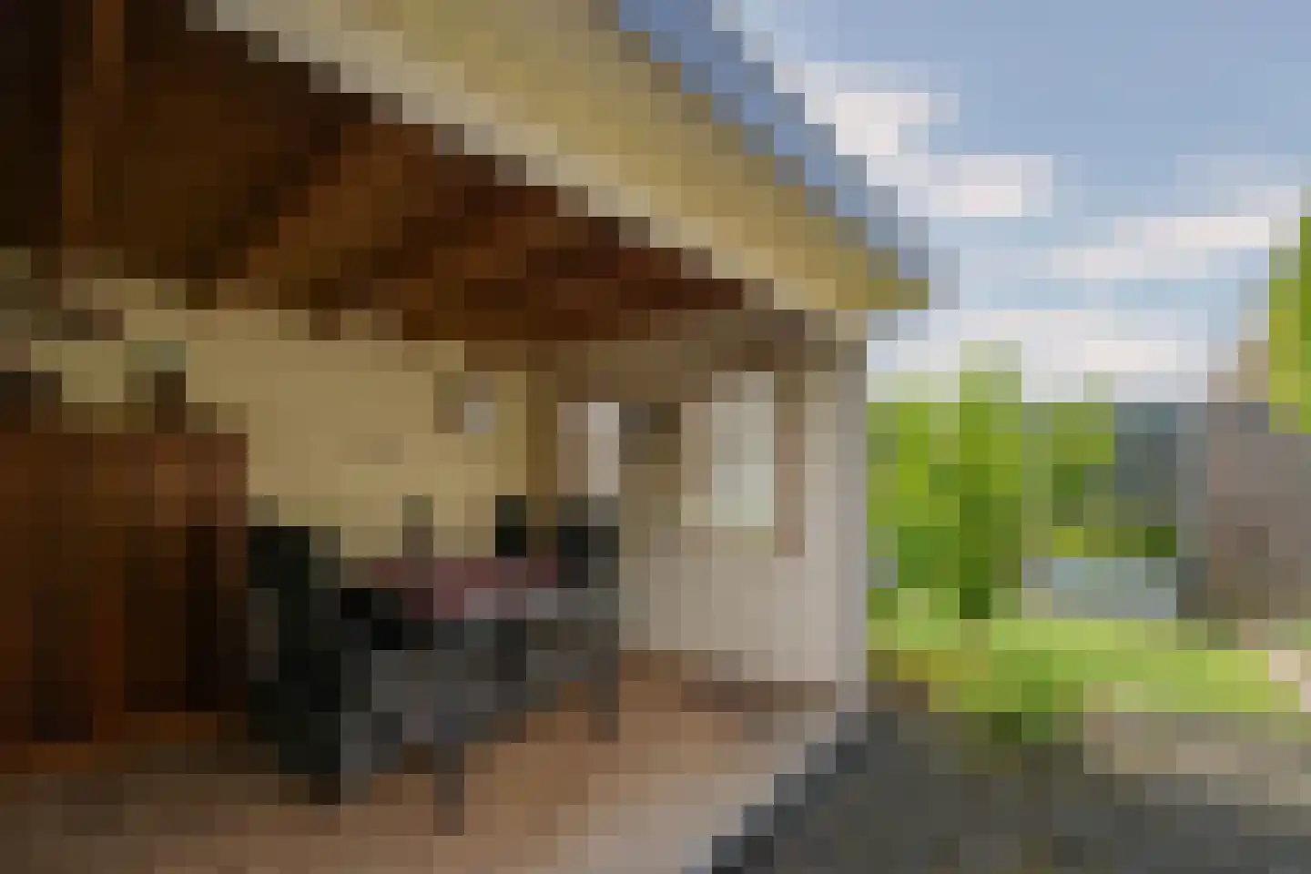 Torrestraat 17 Kronenberg thumbnail 30