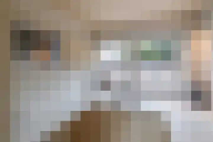 Torricellistraat 19 Badhoevedorp thumbnail 12