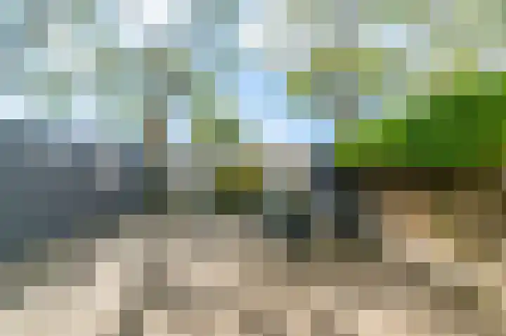 Torricellistraat 19 Badhoevedorp thumbnail 29