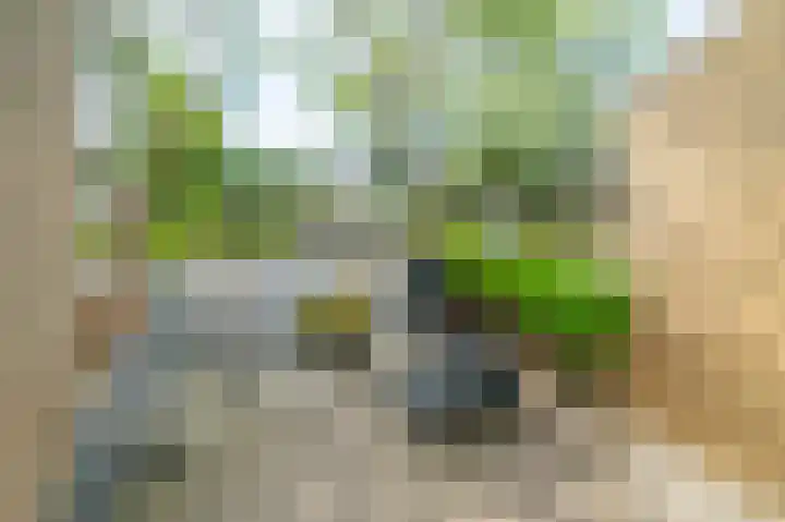 Torricellistraat 19 Badhoevedorp thumbnail 31