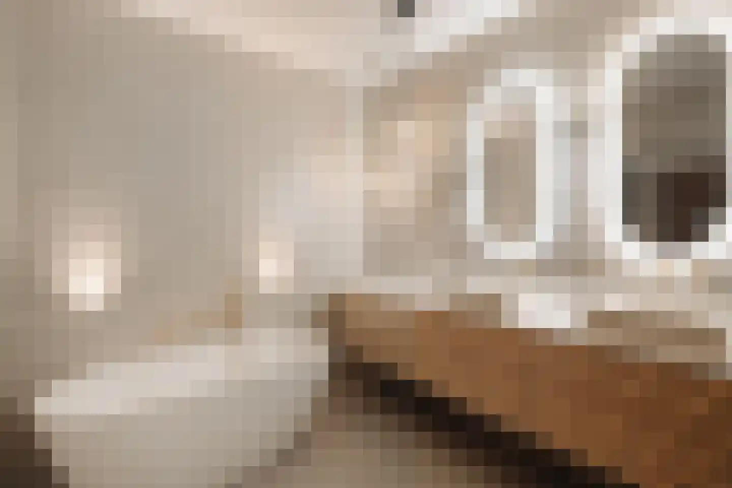 Torricellistraat 27 H Amsterdam thumbnail 25