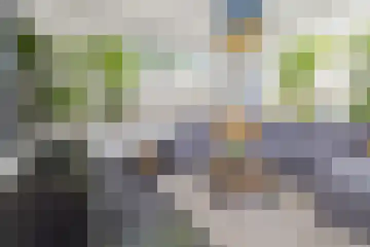 Torricellistraat 34 IJmuiden thumbnail 10