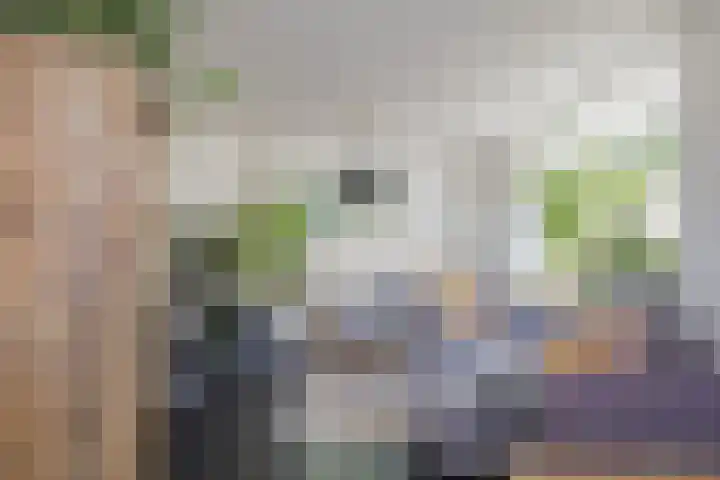 Torricellistraat 34 IJmuiden thumbnail 11