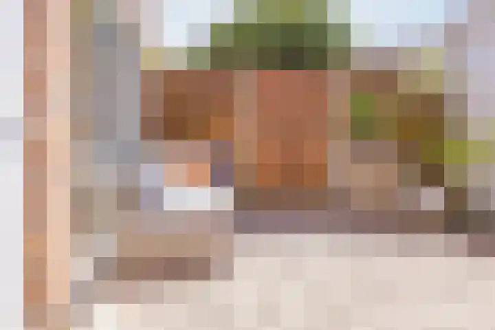 Torricellistraat 34 IJmuiden thumbnail 21
