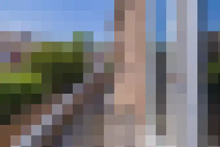 Torricellistraat 34 IJmuiden thumbnail 27