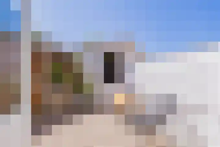 Torricellistraat 34 IJmuiden thumbnail 4