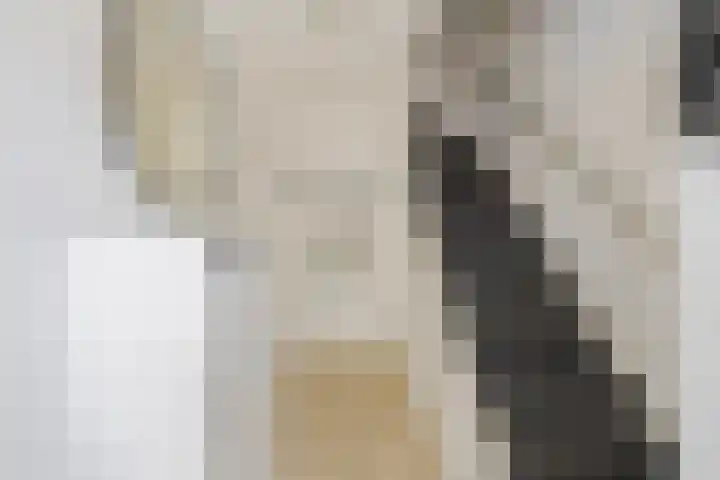 Torricellistraat 34 IJmuiden thumbnail 7