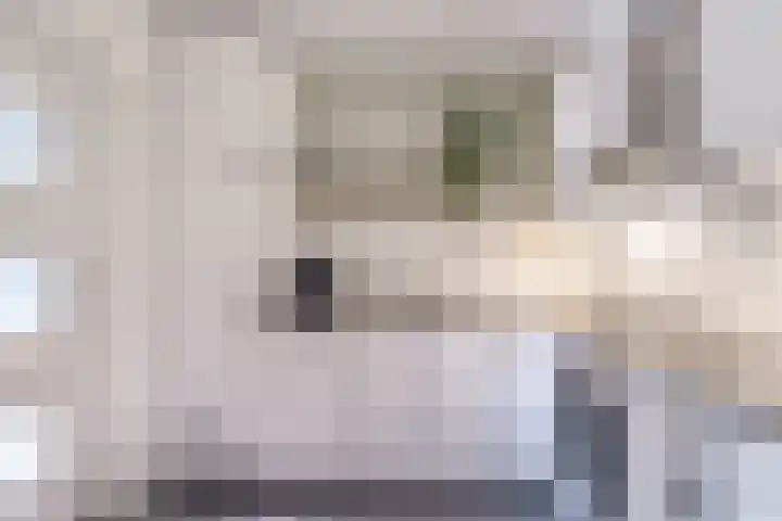 Torricellistraat 34 Kruiningen thumbnail 20