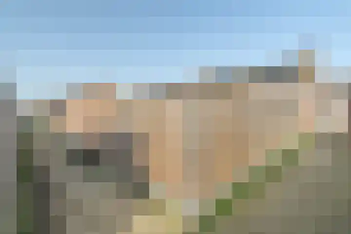 Torricellistraat 34 Kruiningen thumbnail 37