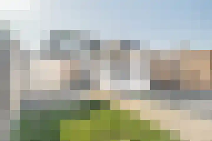 Torricellistraat 34 Kruiningen thumbnail 5