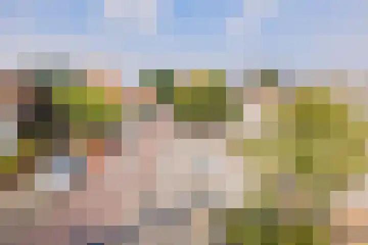 Torricellistraat 37 IJmuiden thumbnail 31