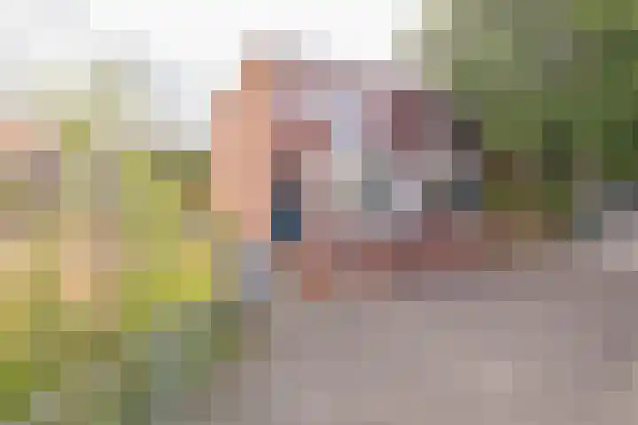 Torricellistraat 37 IJmuiden thumbnail 38