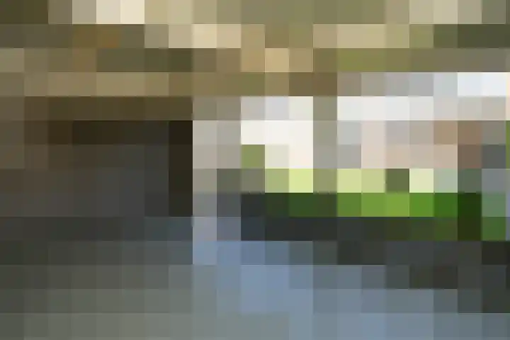 Torricellistraat 7 Nijmegen thumbnail 20