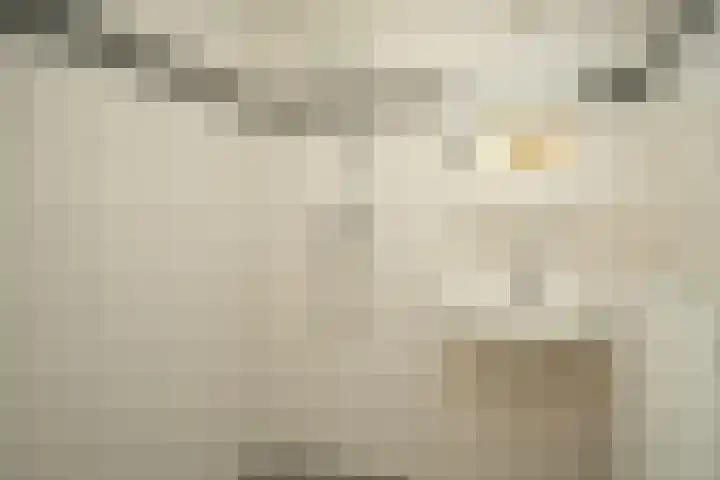 Torricellistraat 7 Nijmegen thumbnail 30