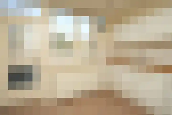 Torricellistraat 7 Nijmegen thumbnail 6
