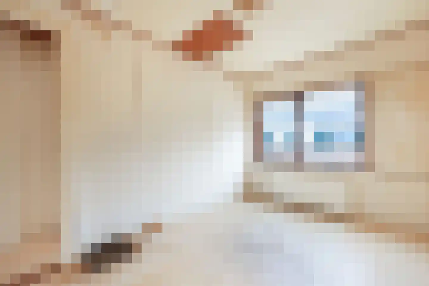 Torricellistraat 8 IJmuiden thumbnail 20