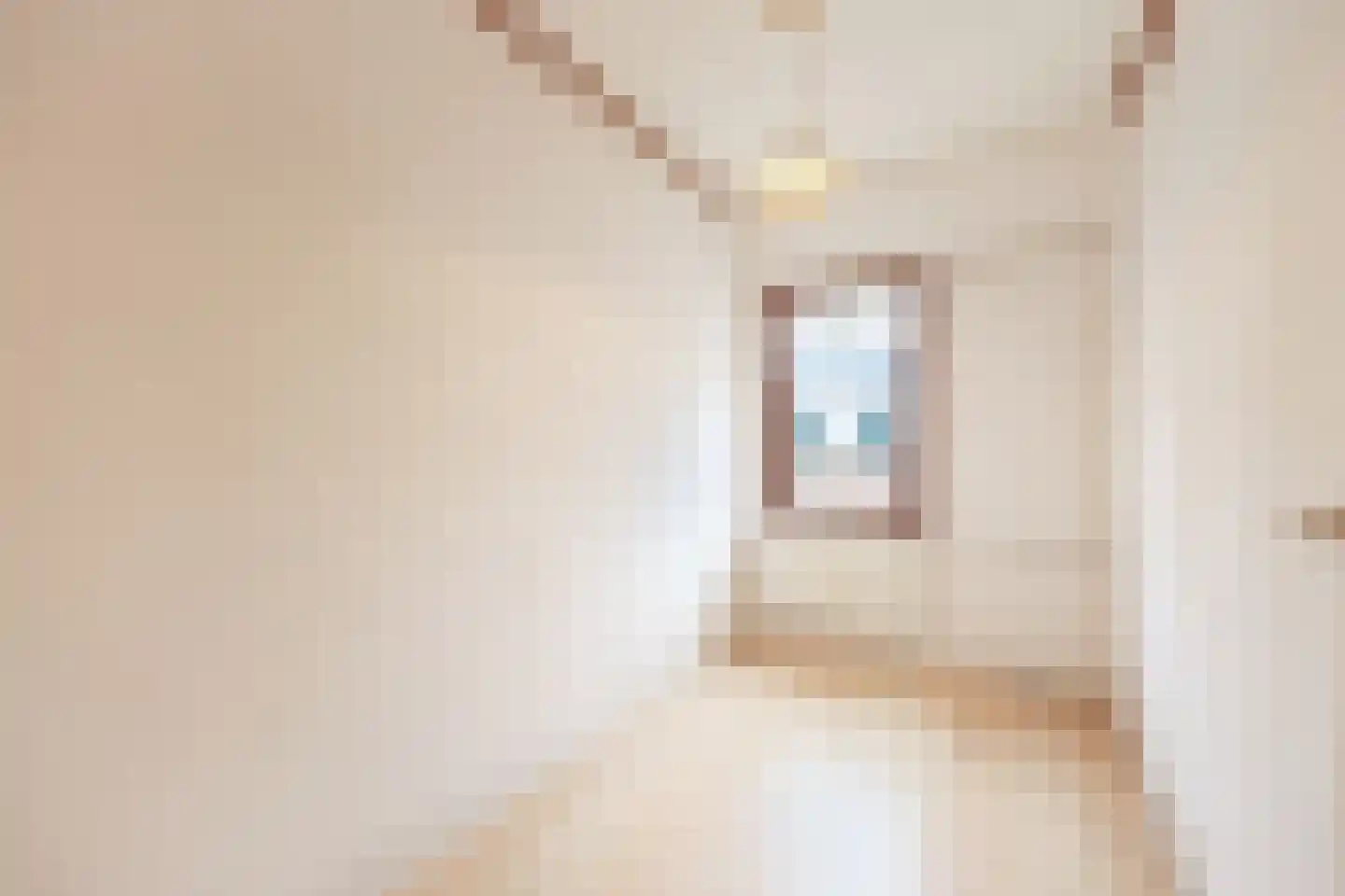 Torricellistraat 8 IJmuiden thumbnail 22