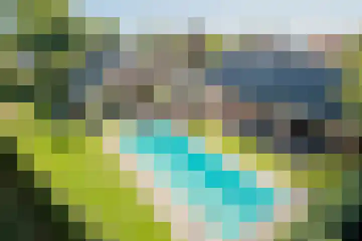Torsdam 11 Altforst