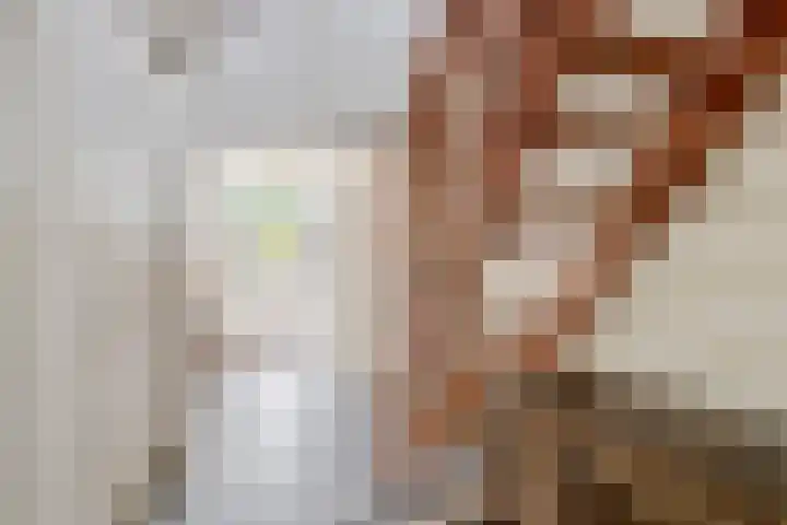 Torsdam 11 Altforst thumbnail 18
