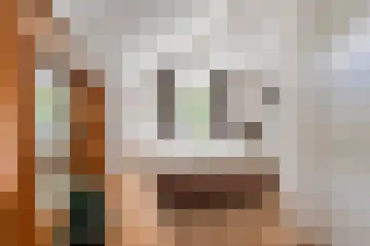 Torsdam 11 Altforst thumbnail 22