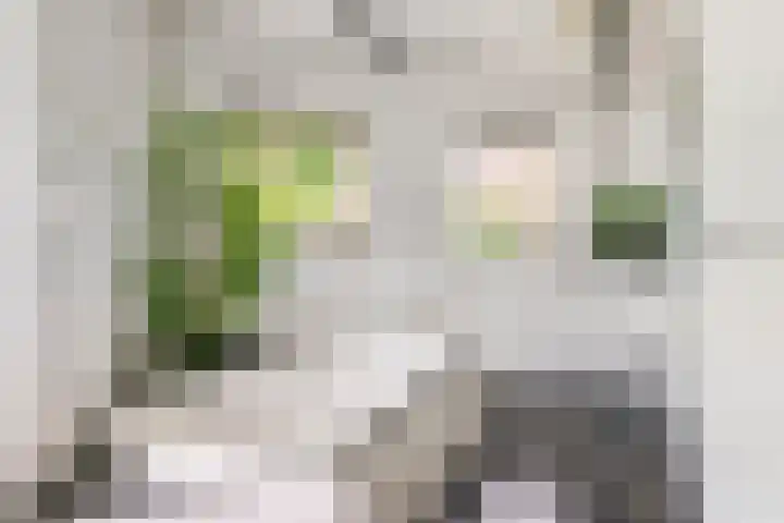 Torsdam 11 Altforst thumbnail 24