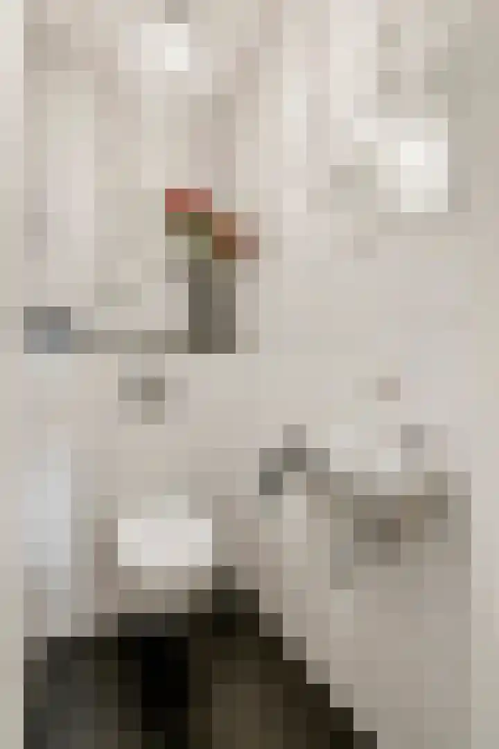Torsdam 11 Altforst thumbnail 31