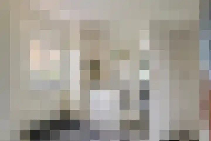 Torsdam 11 Altforst thumbnail 33