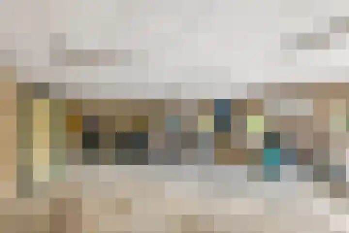 Torsdam 11 Altforst thumbnail 46