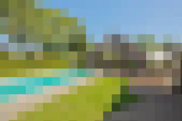 Torsdam 11 Altforst thumbnail 53
