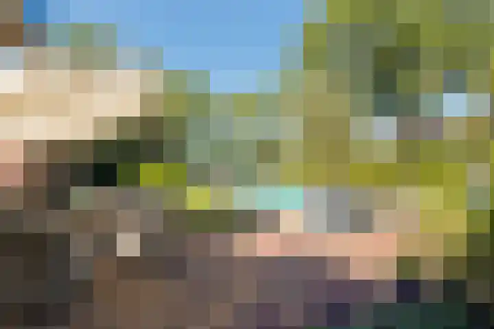 Torsdam 11 Altforst thumbnail 56