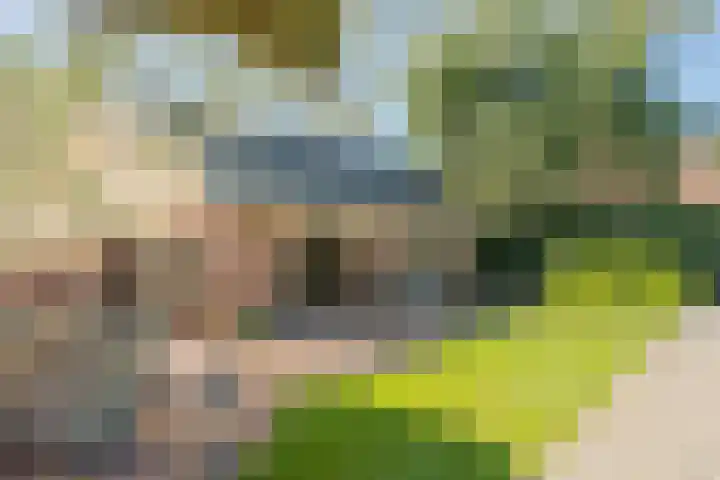 Torsdam 11 Altforst thumbnail 59