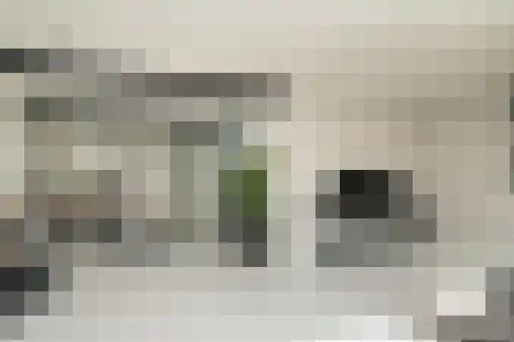 Torsdam 2 b Altforst thumbnail 10