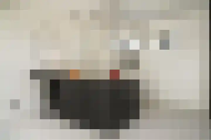 Torsdam 2 b Altforst thumbnail 12