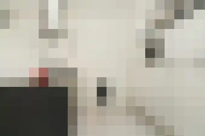Torsdam 2 b Altforst thumbnail 13