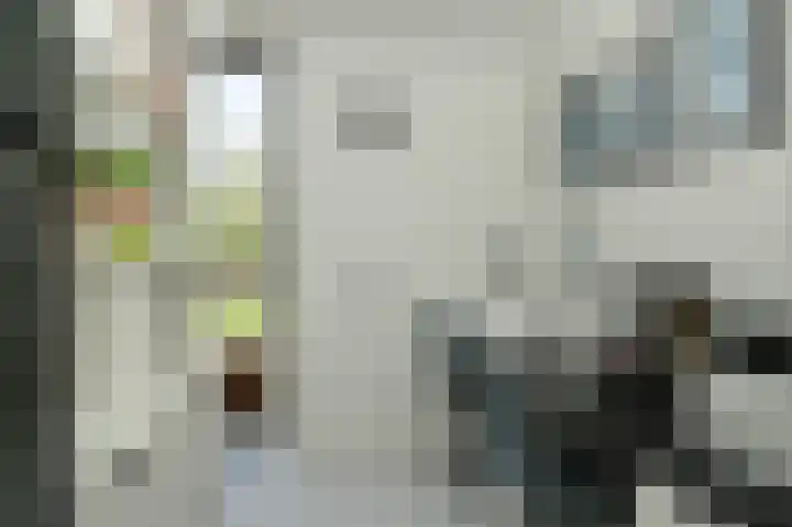 Torsdam 2 b Altforst thumbnail 17