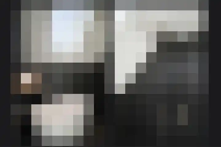 Torsdam 2 b Altforst thumbnail 24