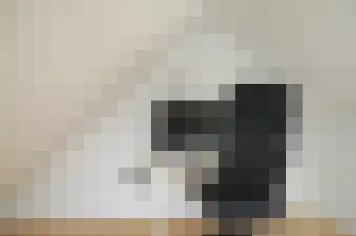 Torsdam 2 b Altforst thumbnail 27
