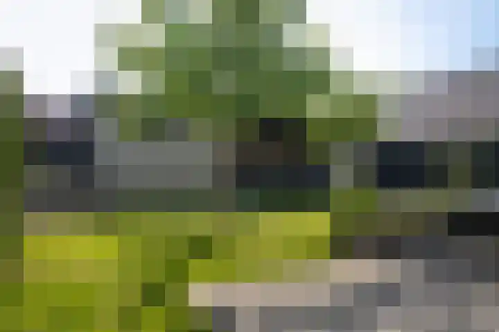 Torsdam 2 b Altforst thumbnail 37